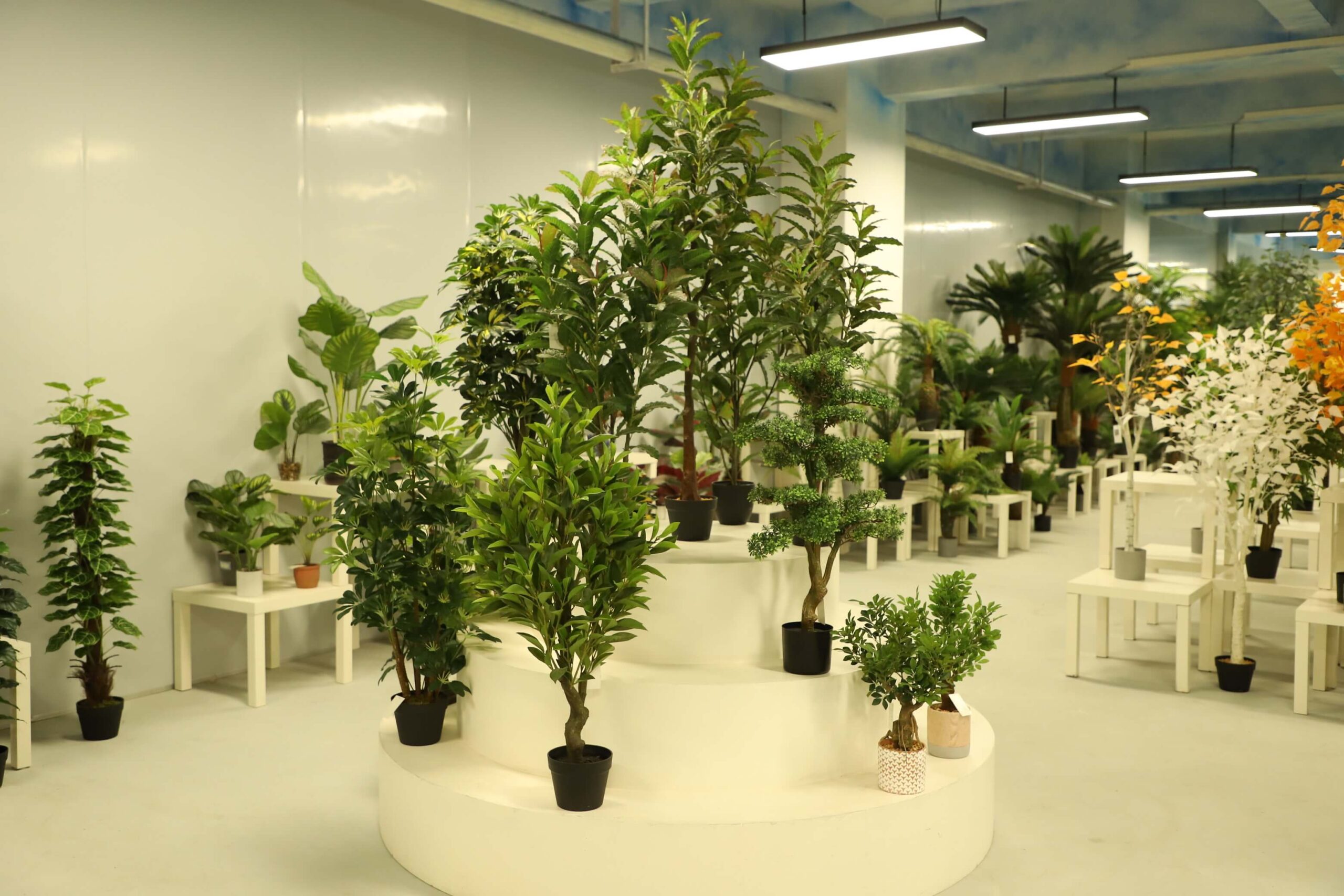 Artificial Tree Manufacturer of Xiamen Co-Arts Limited