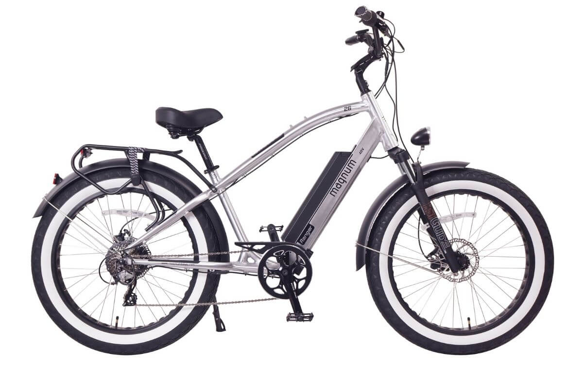 Why you need and E-ranger Electric Bike
