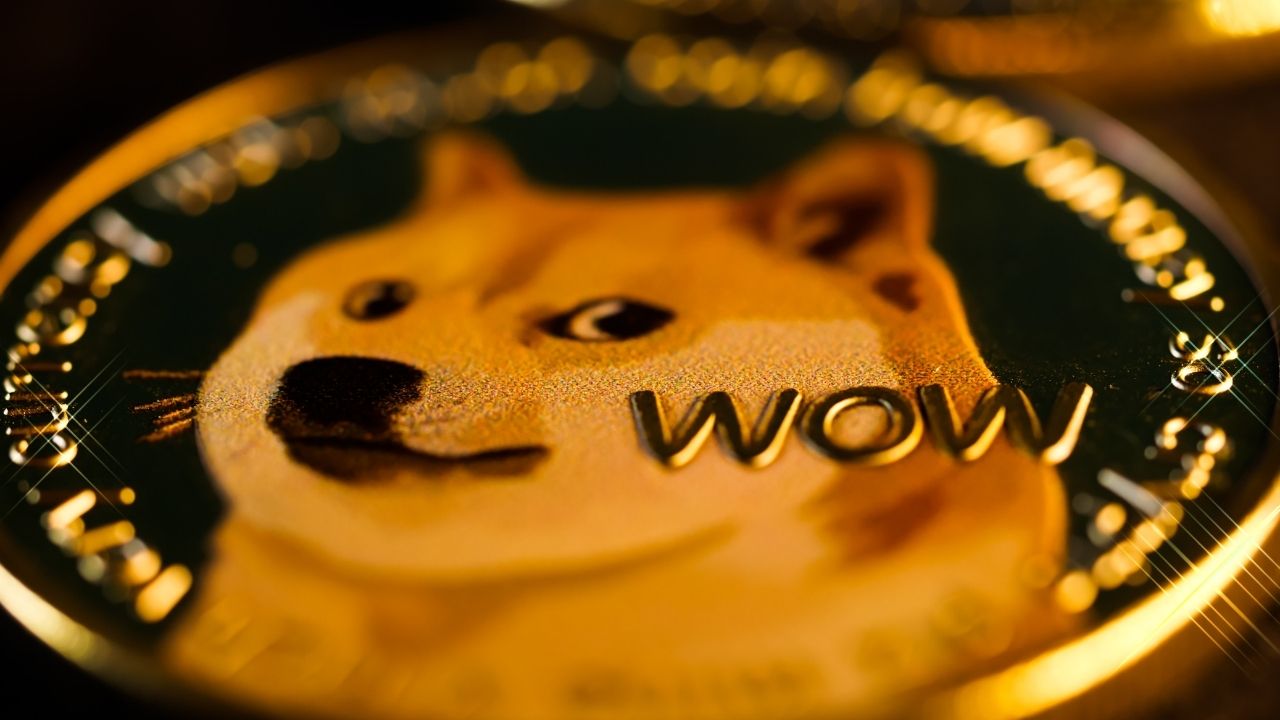 A Guide on How to Purchase DogeCoin on the Bitget Platform